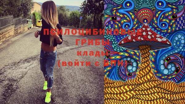 гашик Баксан