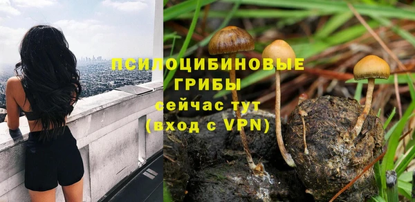 гашик Баксан