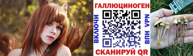 Галлюциногенные грибы Cubensis  Теберда 